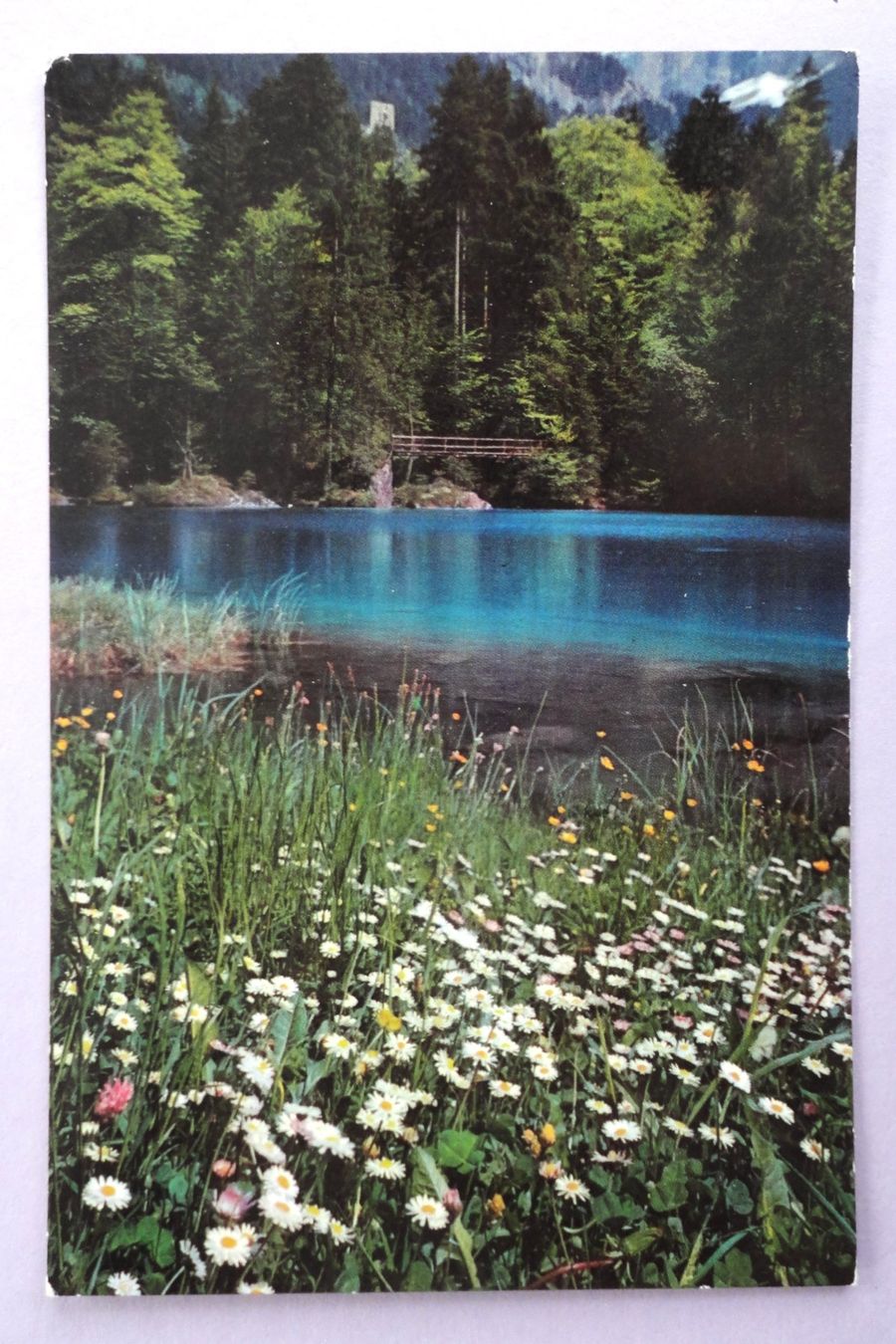 Cartoline postali: Blausee (Berner Oberland) - Lac Bleu – Usato da Fétigny venduto da Billy2miny