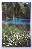 Blausee (Berner Oberland) - Lac Bleu
