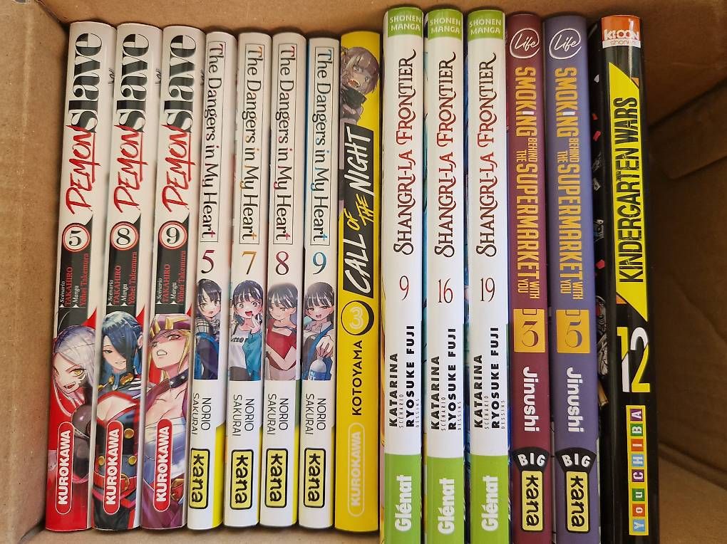 Libri: 14 Manga comme neuf – Usato da Villars-sur-Glâne venduto da Agnie80 4