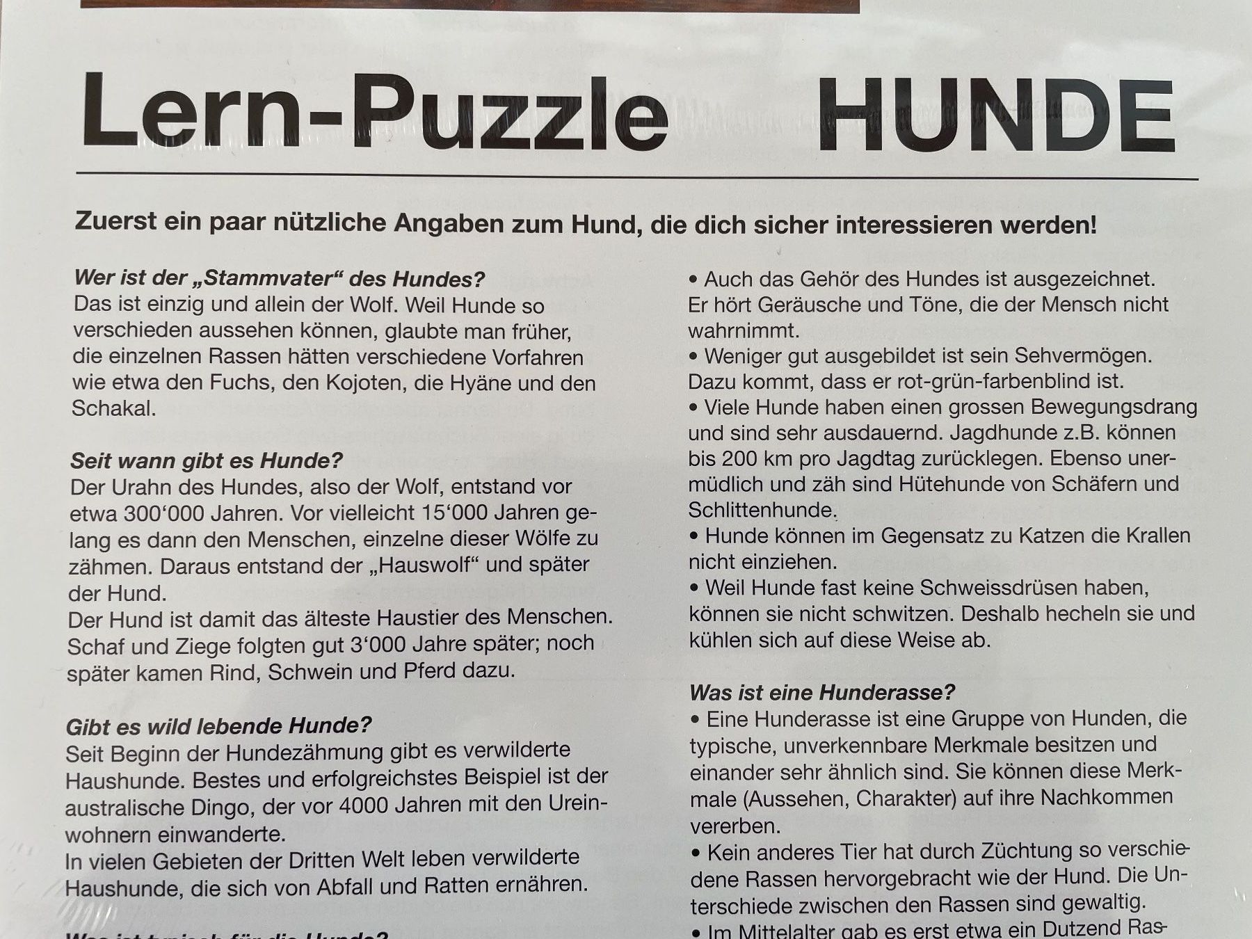Puzzle: Puzzle Junge Golden Retrievers / Hunde Puzzle – Nuovo e nell'imballaggio originale da Füllinsdorf venduto da bienli 1