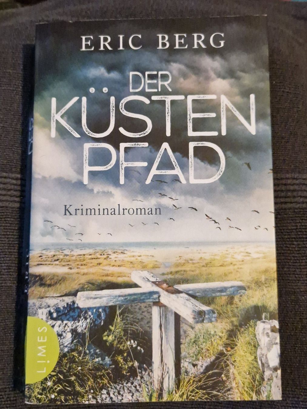 Libri: Eric Berg Der Küstenpfad Ostseekrimi – Usato da Neuhausen am Rheinfall venduto da Alchimista