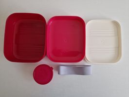 Lunchbox 3-in-1