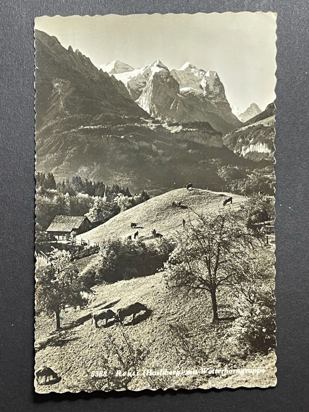 Cartoline postali: Hasliberg mit Wetterhorngruppe – Usato da Steg VS venduto da danwer74