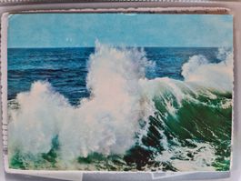 Ansichtskarte il mare Adriatico Italien 166
