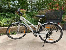 Crosswave Cruiser
