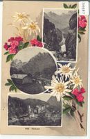 Finhaut - Multiview - Edelweiss-Litho