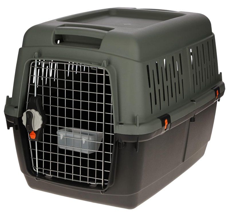 Gabbie, trasporto & Sicurezza: Transportbox (Hunde) – Usato da Erlinsbach SO venduto da Rogerr