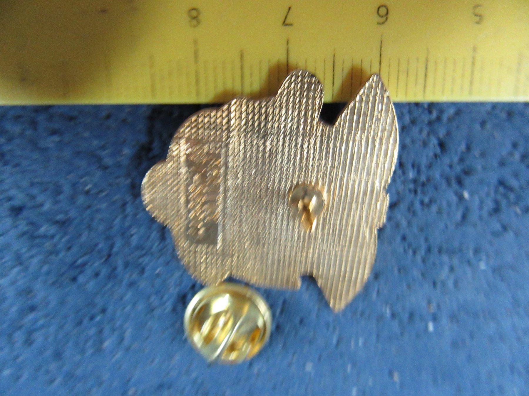 Placchette & Badge: CHIQUITA PIN ENAMEL GOLDIG – Usato da Ettingen venduto da Hausi4711 1