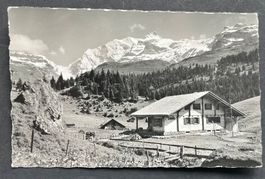 Kiental, Berghaus Steinenberg Gamchilücke - Morgenhorn