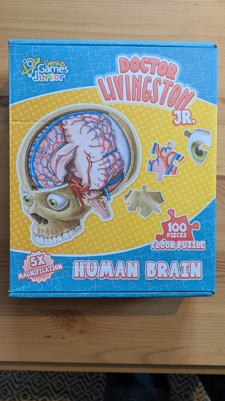 Puzzles: Puzzle vom menschlichen Hirn – Gebraucht aus Oberwil b. Büren von 10G3298