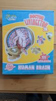 Puzzle vom menschlichen Hirn