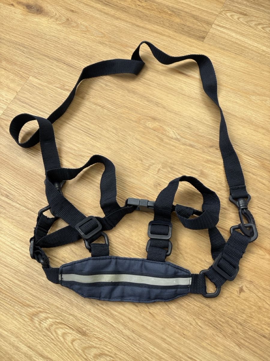 Attrezzatura da arrampicata: Sicherheitsgurt Kleinkind – Usato da Chur venduto da copino