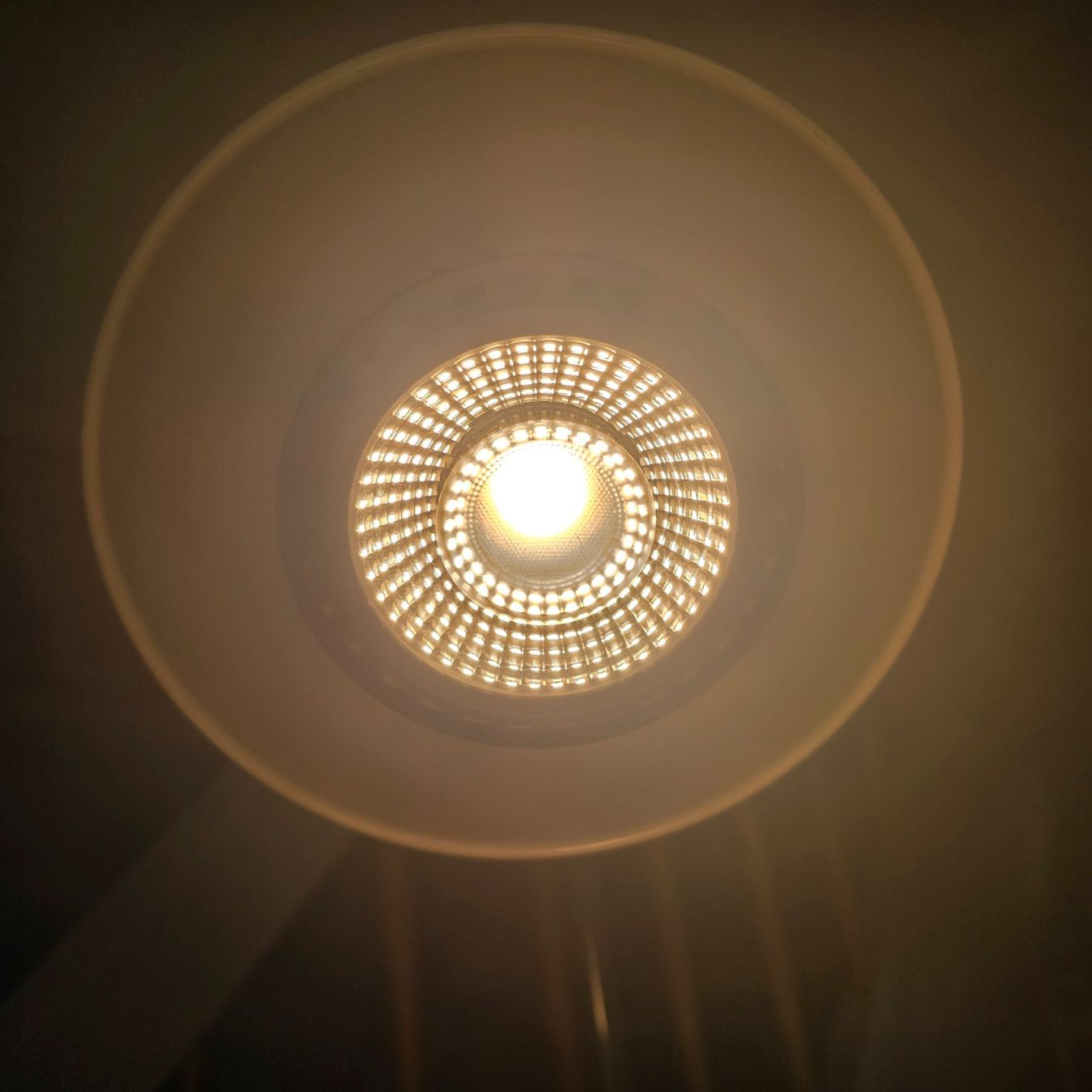 Lampes: Pflanzenlampe 'Soltech' (Schwarz) – Neuf (Voir description) à Mettau par eli_k78v 7