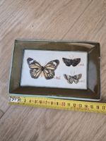Petit plateau décoratif papillons HOMART porcelaine 16cm