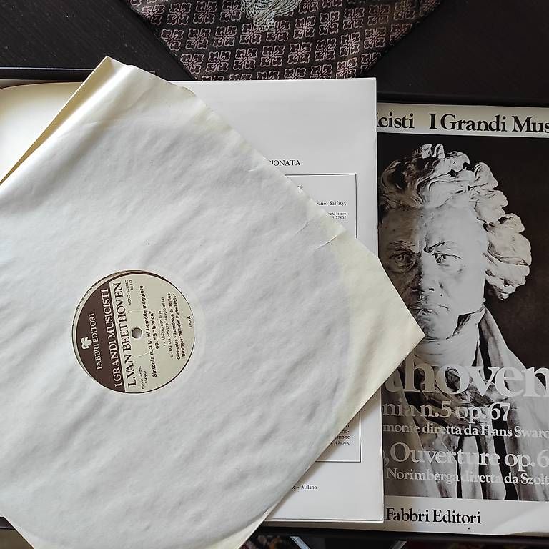 Dischi in vinile: raccolta di vinili – Usato da Capolago venduto da men_sbb5 2
