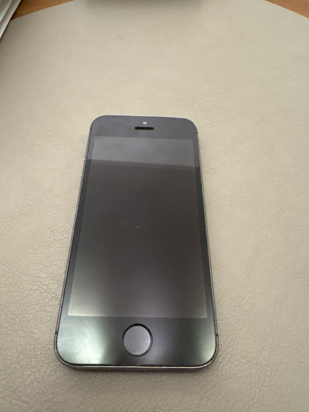 Apple Telefoni cellulari / Smartphones: iPhone 5s – Difettoso da Adliswil venduto da Busys