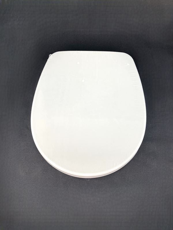 Diaqua WC: DIAQUA | WC-Sitz | Brest | Weiss – Neu (gemäss Beschreibung) aus Wittenbach von Restwert_St-Gallen 1