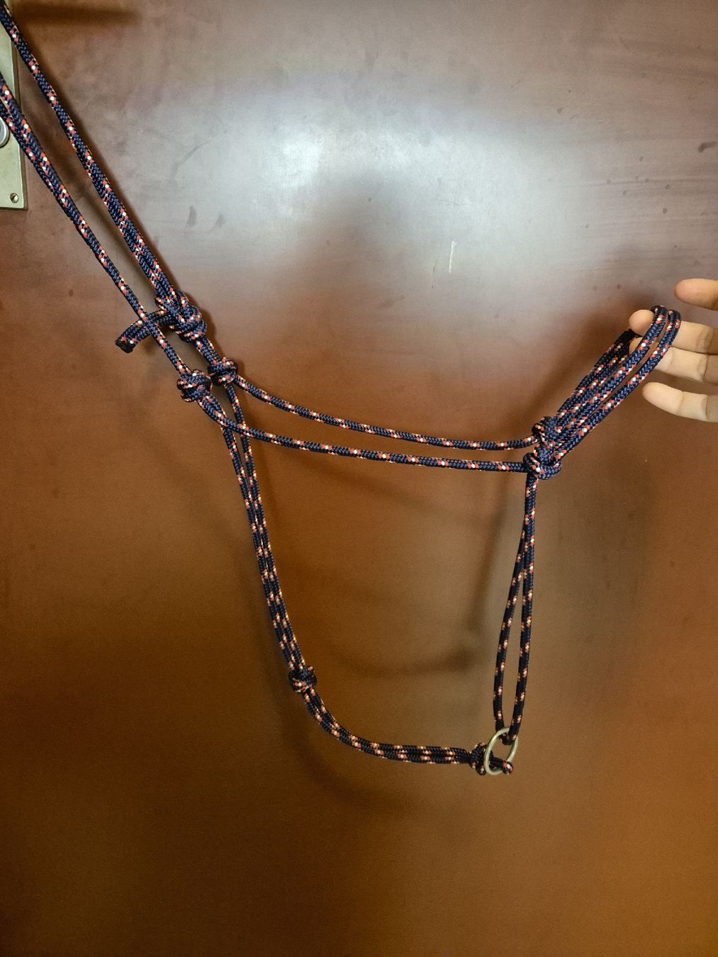 Briglie & Cavezze: Knotenhalfter mit Ring FULL – Nuovo (secondo la descrizione) da Meggen venduto da Orrinka20 1