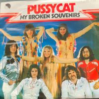 Vinyl Single Pussycat - My Broken Souvenirs