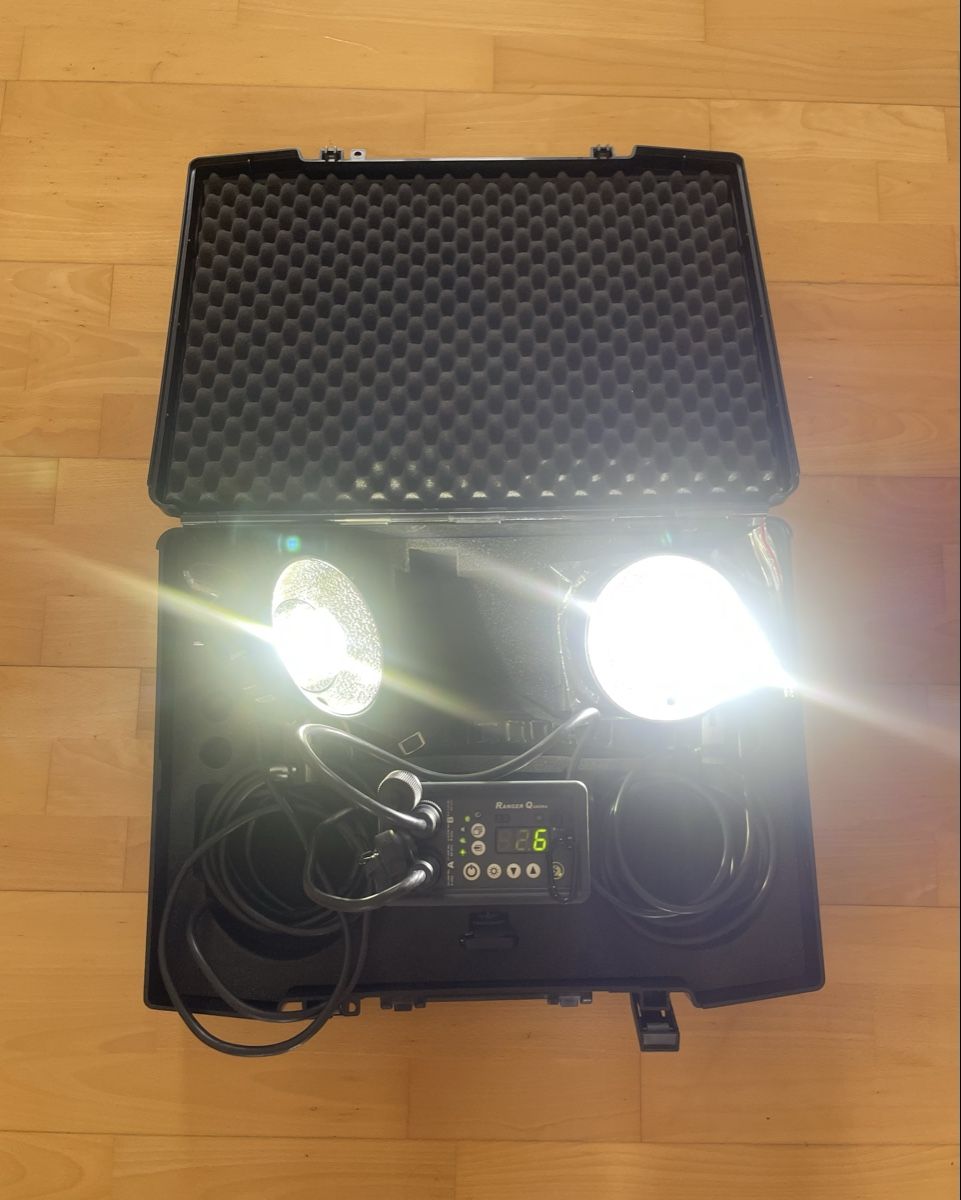 Elinchrom Flash: ELINCHROM RANGER QUADRA SET – Usato da Zürich venduto da ebclassique 2
