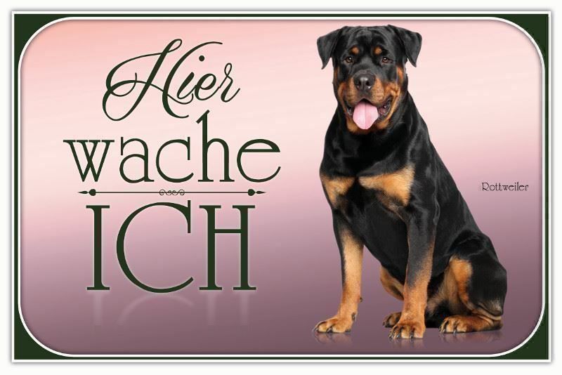 Insegne: Blechschild-ROTTWEILER-HIER WACHE ICH – Nuovo e nell'imballaggio originale da Rupperswil venduto da big-one-sale