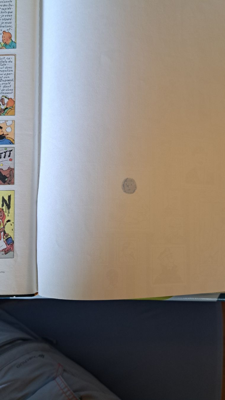 Fumetti: Les aventures de Tintin – Usato da Lausanne venduto da chwiese 4