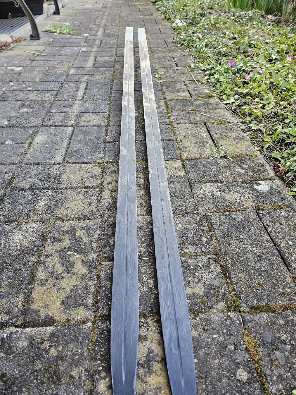 Fischer Skis: Fischer Carbonlite Skating Ski 192cm, mit Atomic Bindung – Gebraucht aus Wettingen von stiviii 7