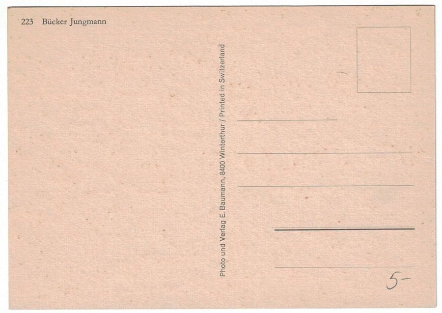 Cartoline postali: Bücker Jungmann, geschätzt 1965-70 – Usato da Frauenfeld venduto da POML 1