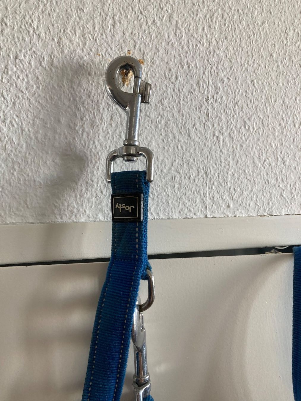 Collier et laisse: Hundeleine blau – D'occasion à Frauenfeld par Koffer12 1