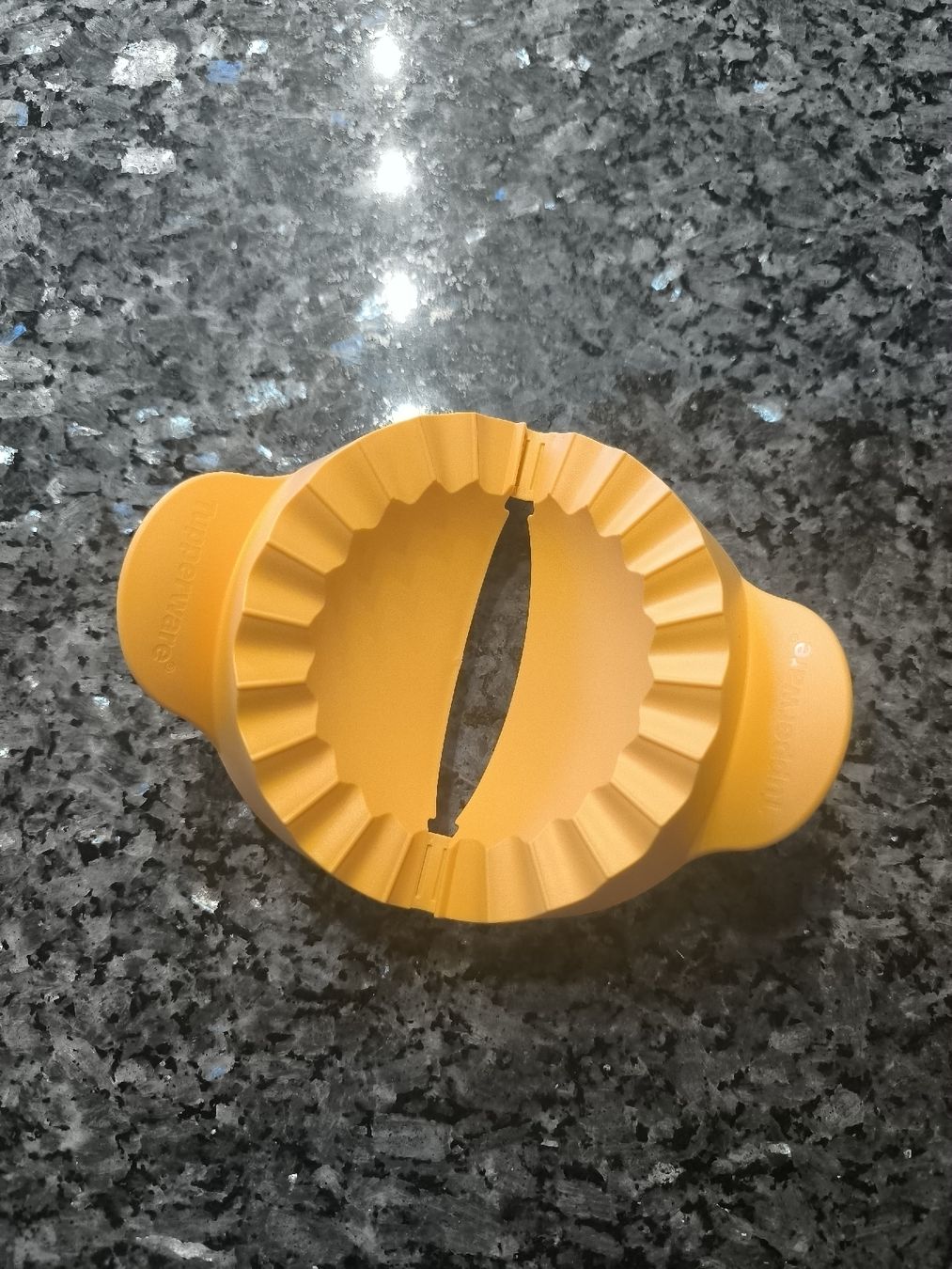Tupperware Elettrodomestici da cucina: Tupperware Täschler gross – Usato da Fislisbach venduto da Chruselibike