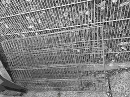 Tiergitter aus Metall klappbar Zustand akzeptabel