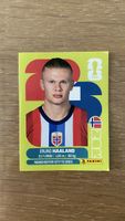 Panini WM 2026 Sticker - NOR 15 - Erling Haaland