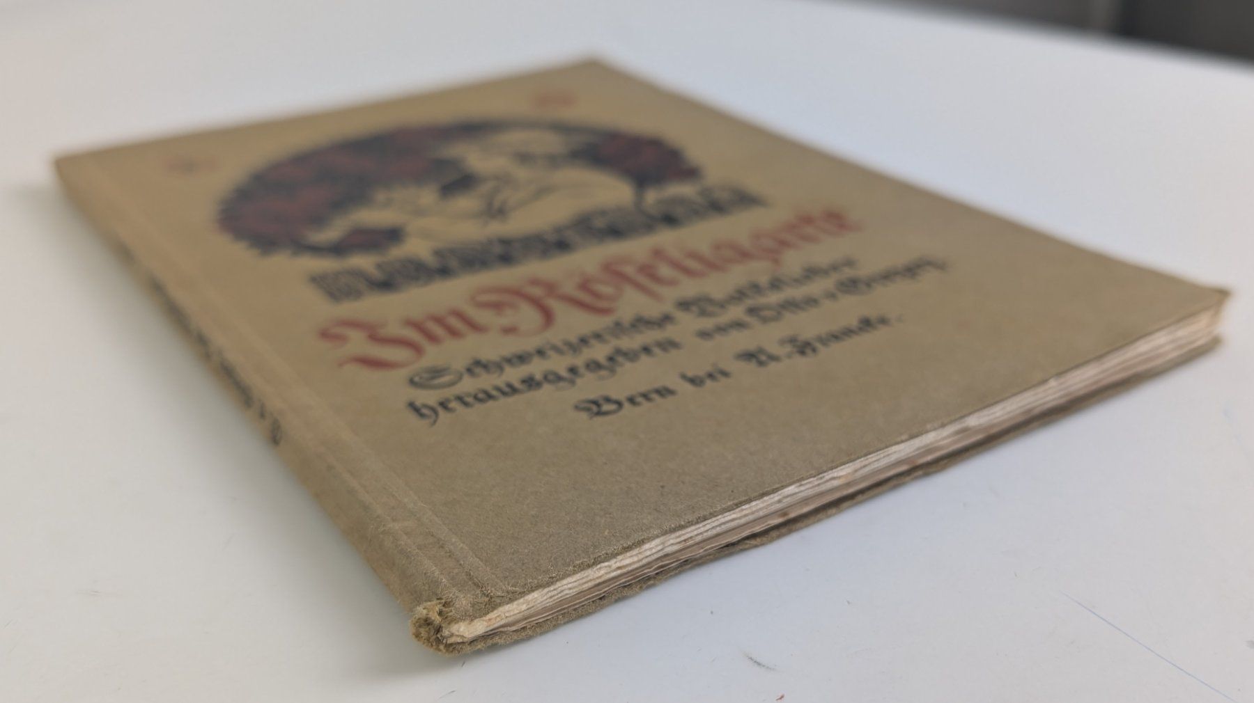 Libri: Schweizerisches Volksliederbuch "Im Röseligarte" 1925 – Usato da Zürich venduto da axolottchen 4
