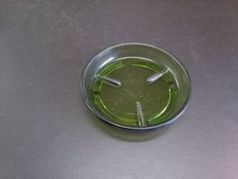 BÜLACH Untersetzer ø10cm