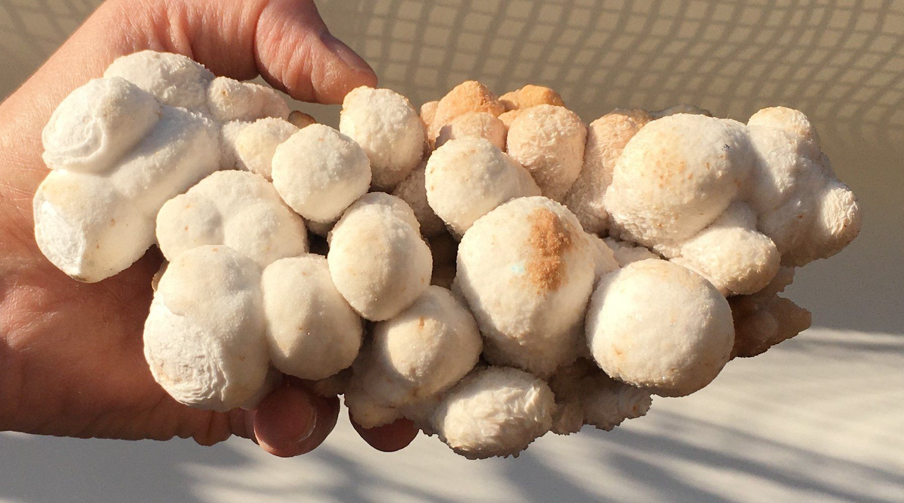 Minerali & Pietre curative: aragonite cristallisée – Usato da Vevey venduto da zabounetta 7