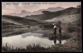 AK Staffelalp /Berner Oberland, Landschaft mit Stockhorn