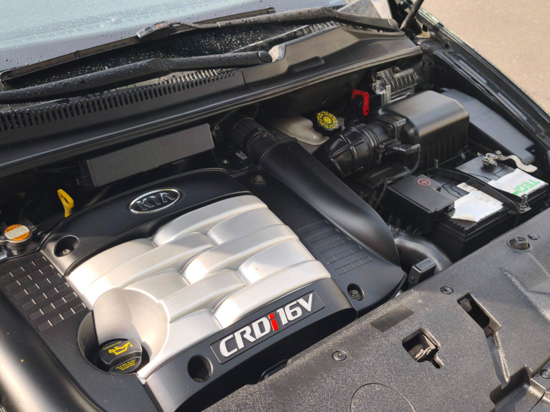 Kia Autos: Kia mit MFK 2023 & 6 Sitzen – D'occasion à Winterthur par viv_7mm8 9