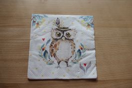 2 Servietten junge Eule 33x33 cm (je 4 Motive)
