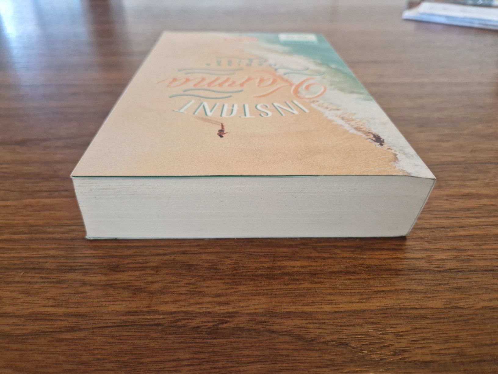 Libri: Instant Karma Buch – Usato da Möhlin venduto da len_28jr 2