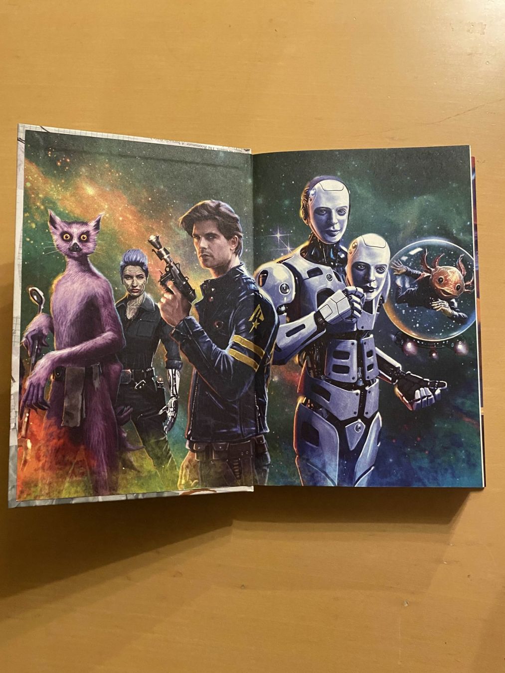 Libri: Metallic Realms - Owlcrate exclusive – Usato da Winznau venduto da sadamu 3