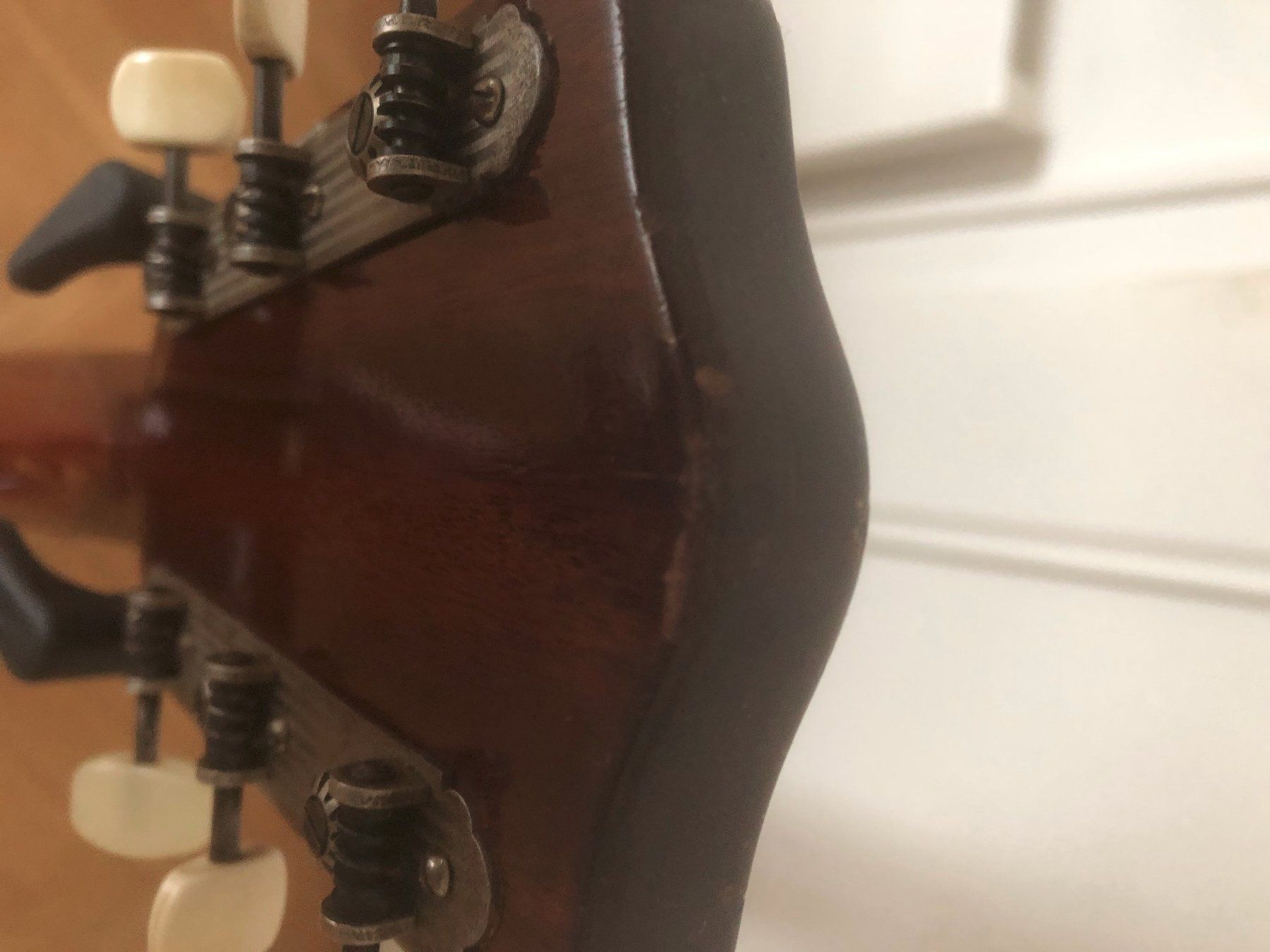 Framus Strumenti musicali: Framus Archtop 5/54 – Usato da Oberengstringen venduto da harburger 5