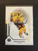 Sportzoo Fabian Ritzmann Sc Bern Playoffs 2025