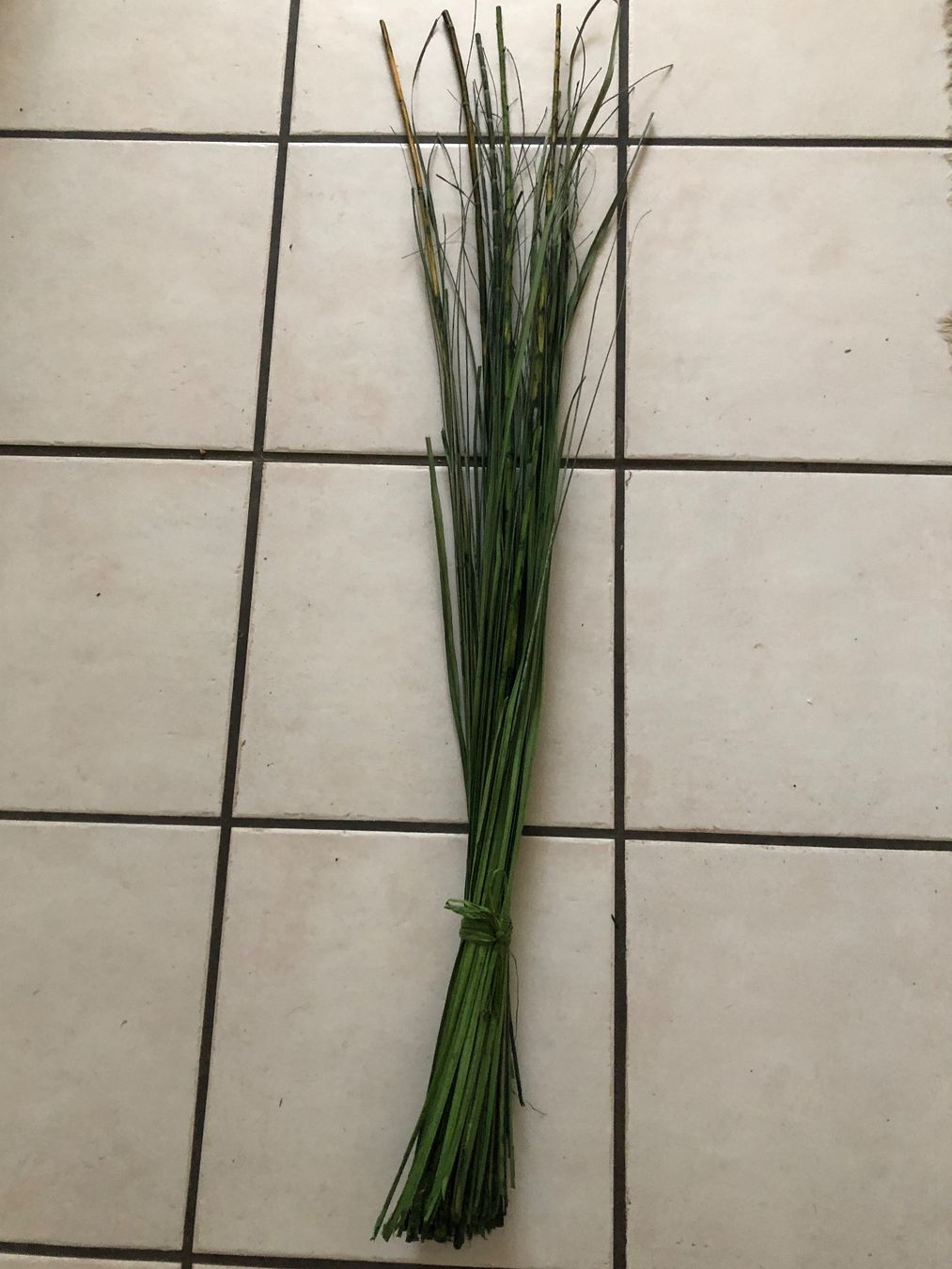 Tutte le decorazioni: Schilfgras-Bund, Dekoration, Basteln, Herbstdeko. – Usato da Arlesheim venduto da leyRum4.5