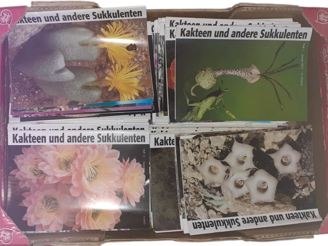 Bücher: Sammlung ca. 300 Kakteenbücher – Gebraucht aus Mörschwil von aik_x8mc 1