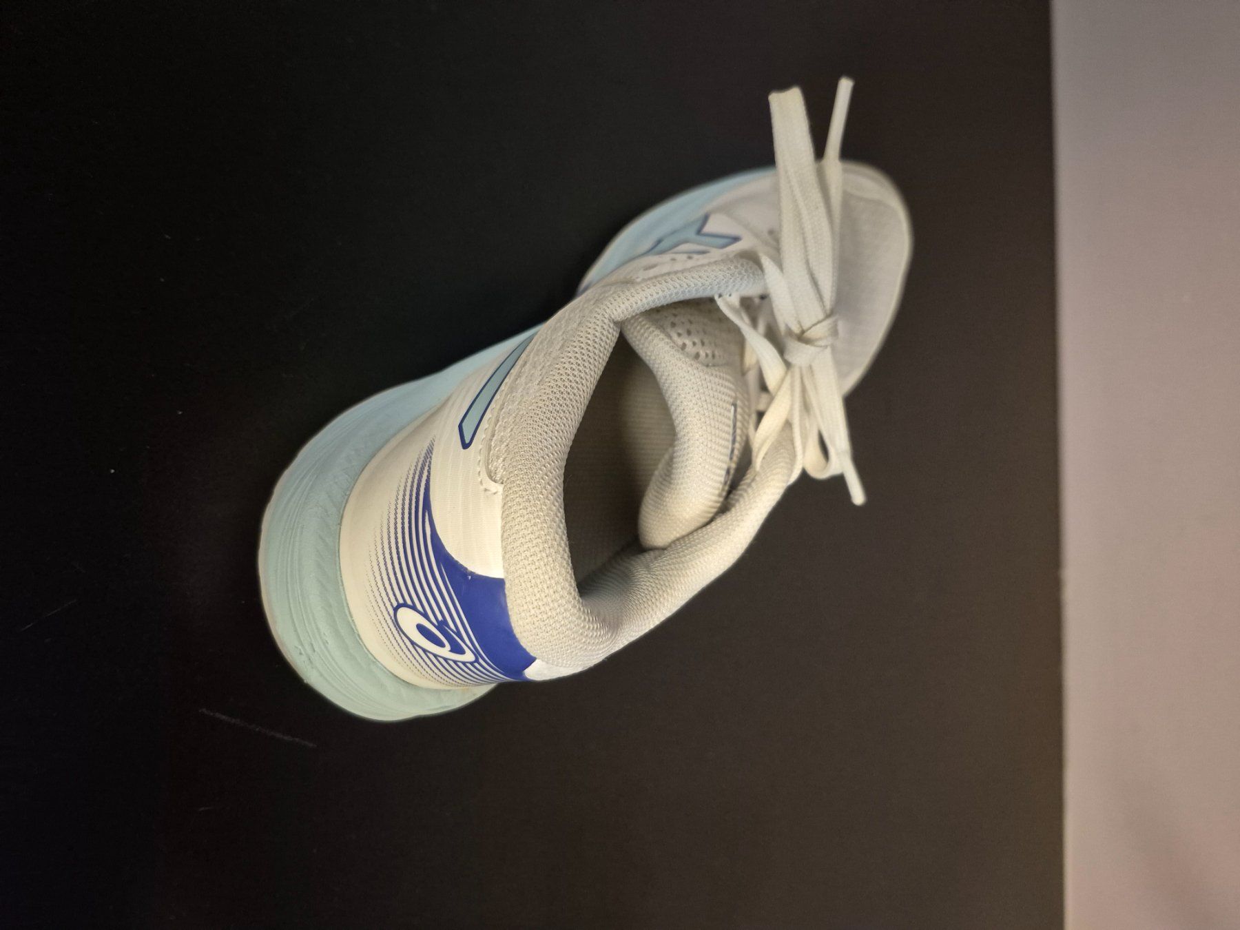 Asics Chaussures femmes: Asics Hallenturnschuhe Gr. 37.5 – D'occasion à Dozwil par C.Stadler 2