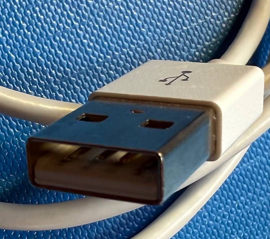 Apple Cavi: Ladekabel (1m) USB-A auf Lightning – Usato da Bäriswil BE venduto da VFR12 1