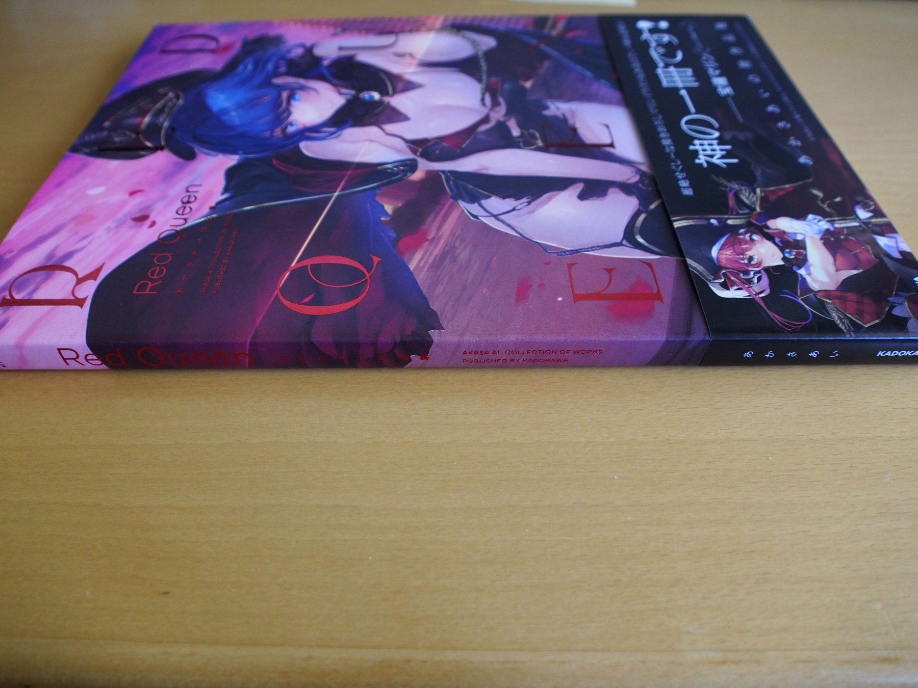 Libri: Red Queen (Artbook) – Usato da Winistorf venduto da raziel66 1