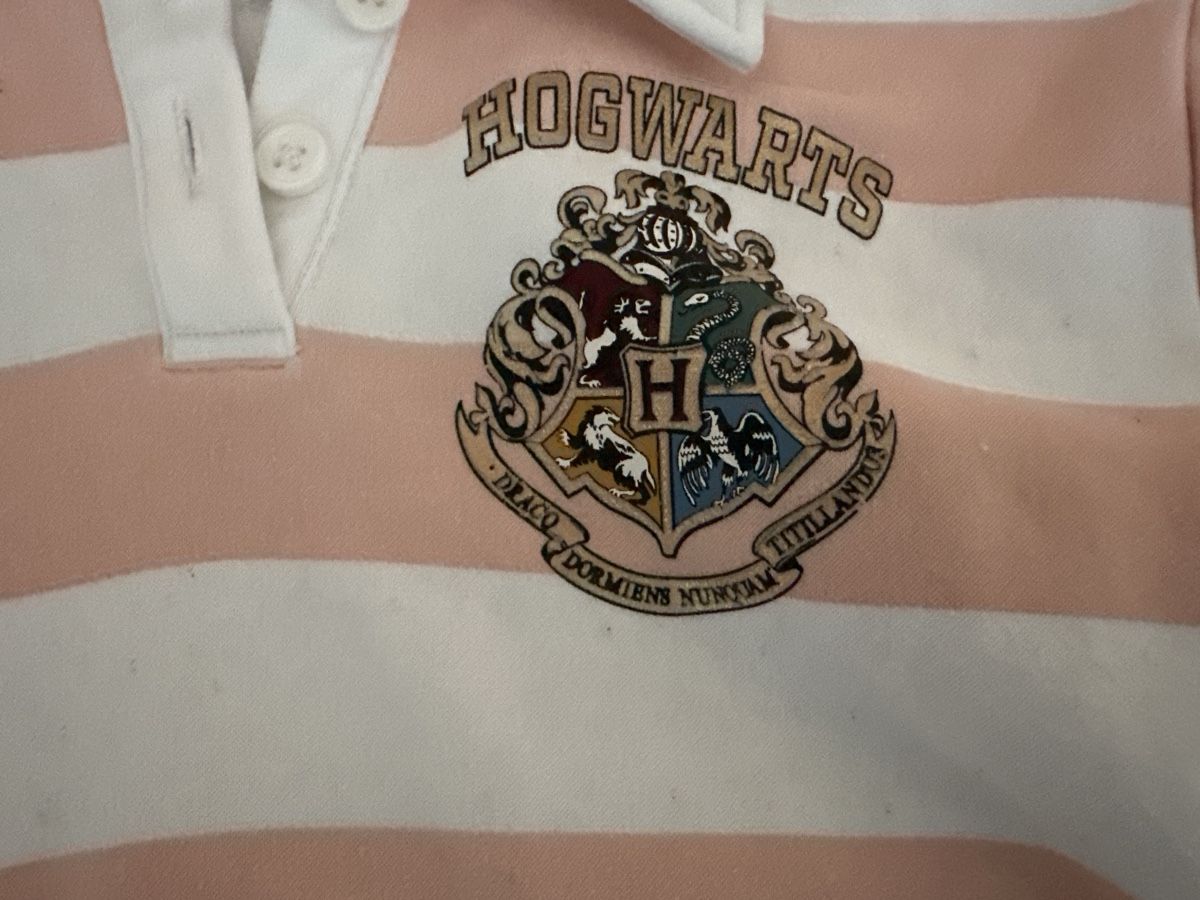 H&M Maglioni & Felpe: Pulli Hogwarts H&M Gr. 134/140 – Usato da Flawil venduto da savoypremium 1
