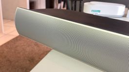 Bang & Olufsen ICE POWER Aktivlautsprecher für Bastler