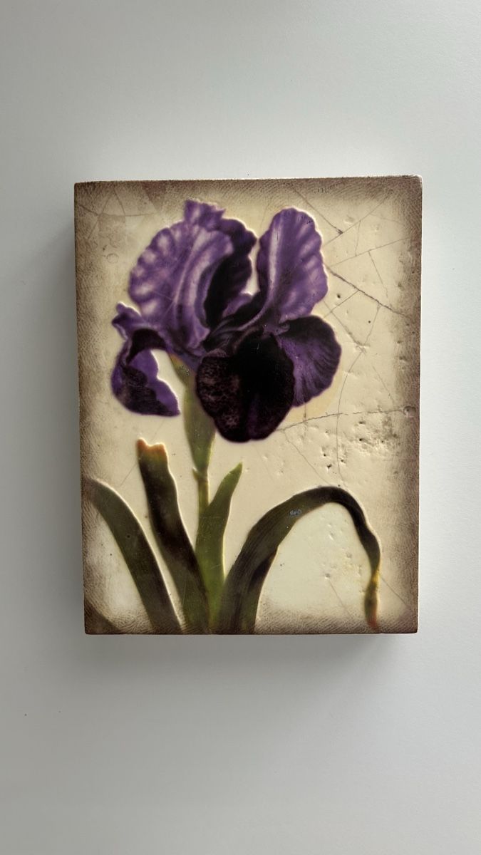 Foto & Immagini: Sid Dickens Memory Block T-258 Iris Royal – Usato da Meilen venduto da Swisscommunicator